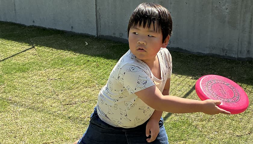やってみたい